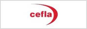 cefla C